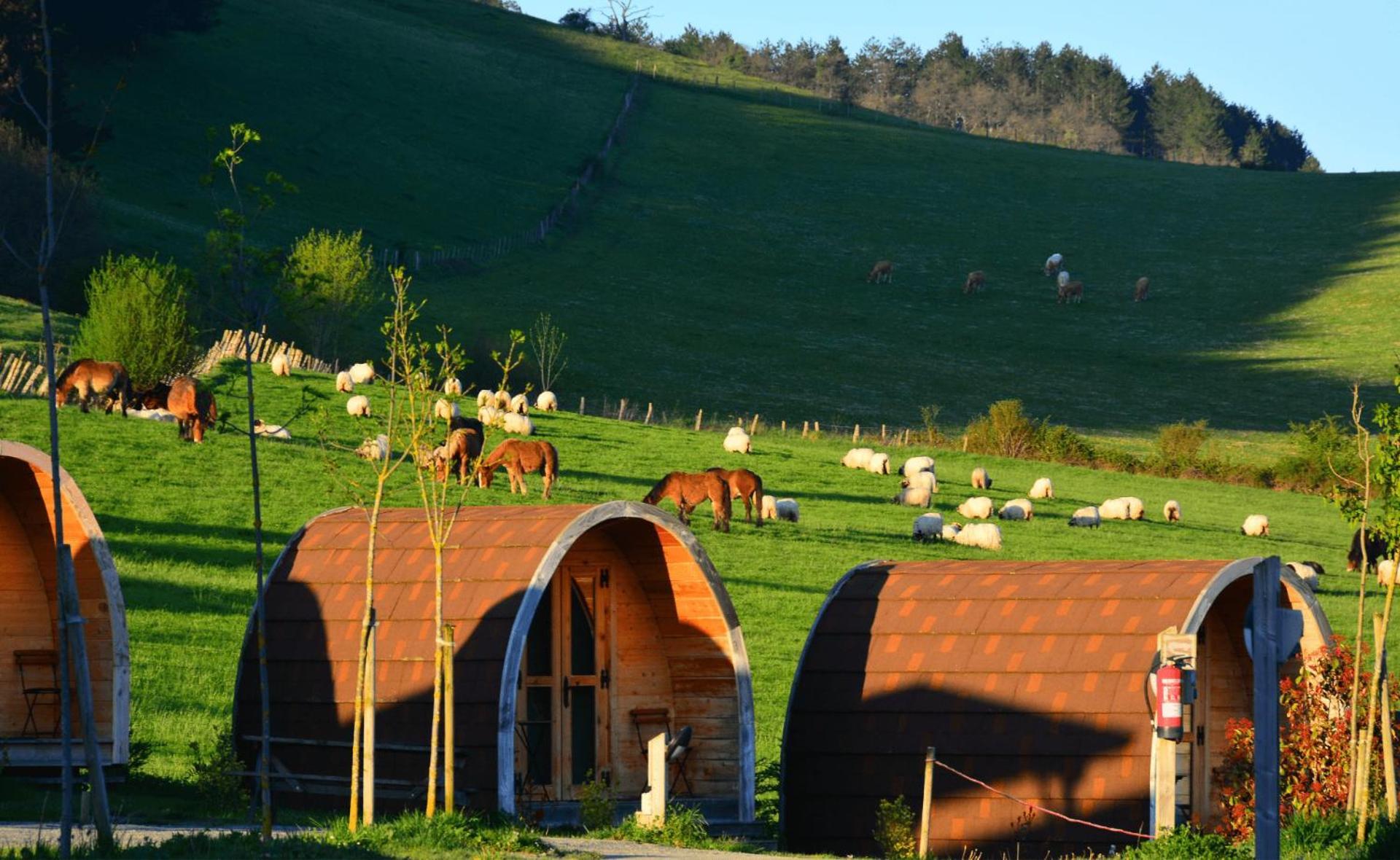 Camping Izarpe Aroztegi Exterior foto