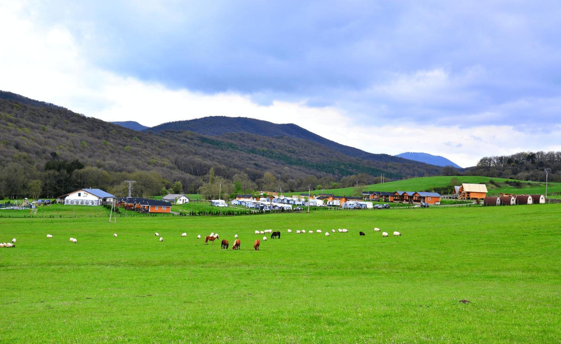 Camping Izarpe Aroztegi Exterior foto